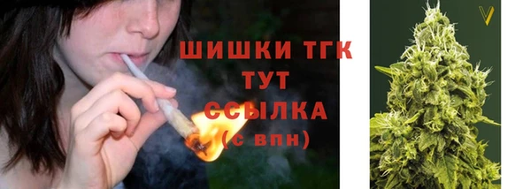 ECSTASY Абаза