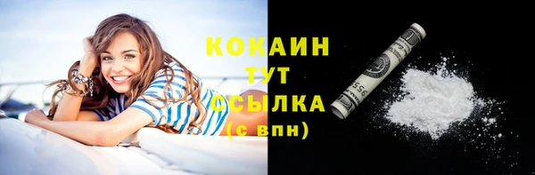 соль ск Алзамай