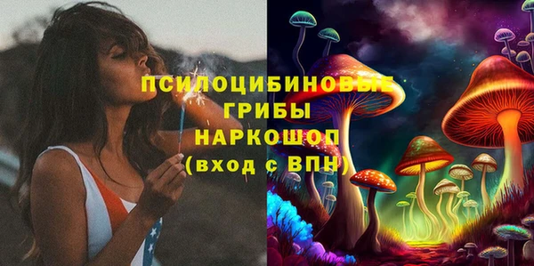 соль ск Алзамай