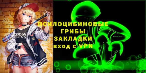 соль ск Алзамай