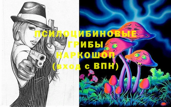 соль ск Алзамай