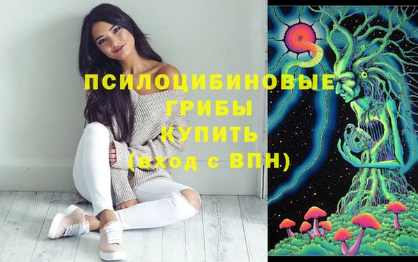 синтетический гашиш Алексин