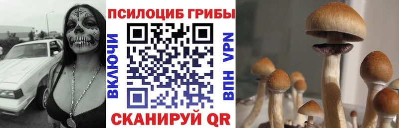 Псилоцибиновые грибы GOLDEN TEACHER  ОМГ ОМГ онион  Саянск 